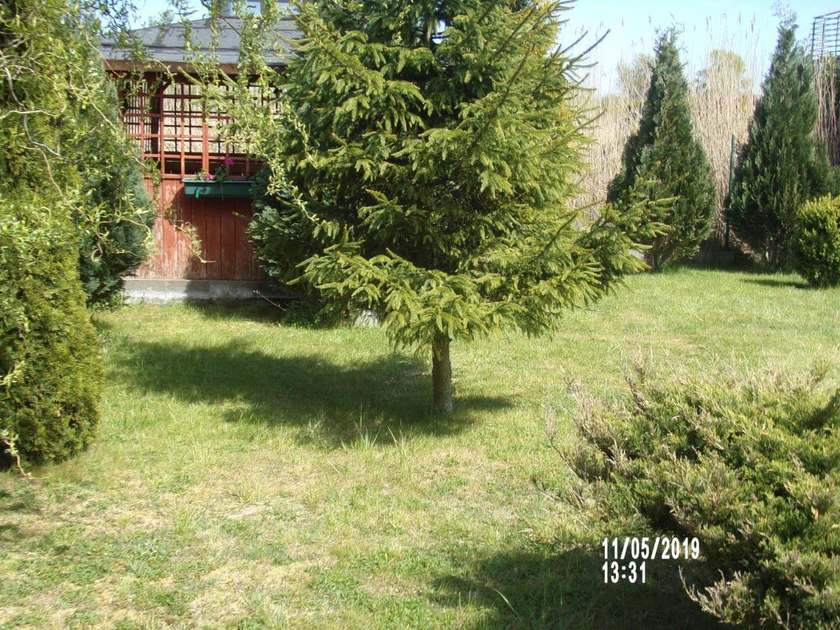 Villa Iwona Grzybowo  Exterior photo